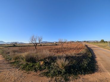 Terreno rustico in vendita a Pasaje Los Segados 152