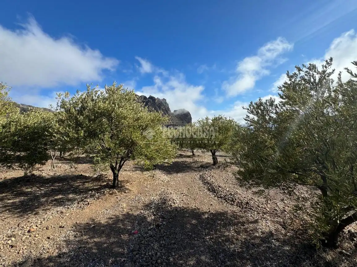 Terreno en venta en San Bartolomé Interior