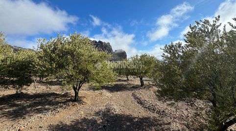 Foto 5 de Terreno en venta en San Bartolomé Interior, San Bartolomé de Tirajana