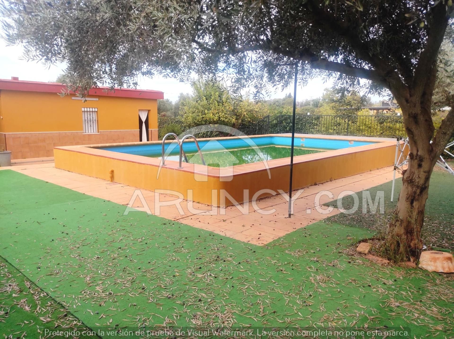 Piscina de Casa o xalet en venda en Mairena del Alcor amb Jardí privat, Terrassa i Piscina