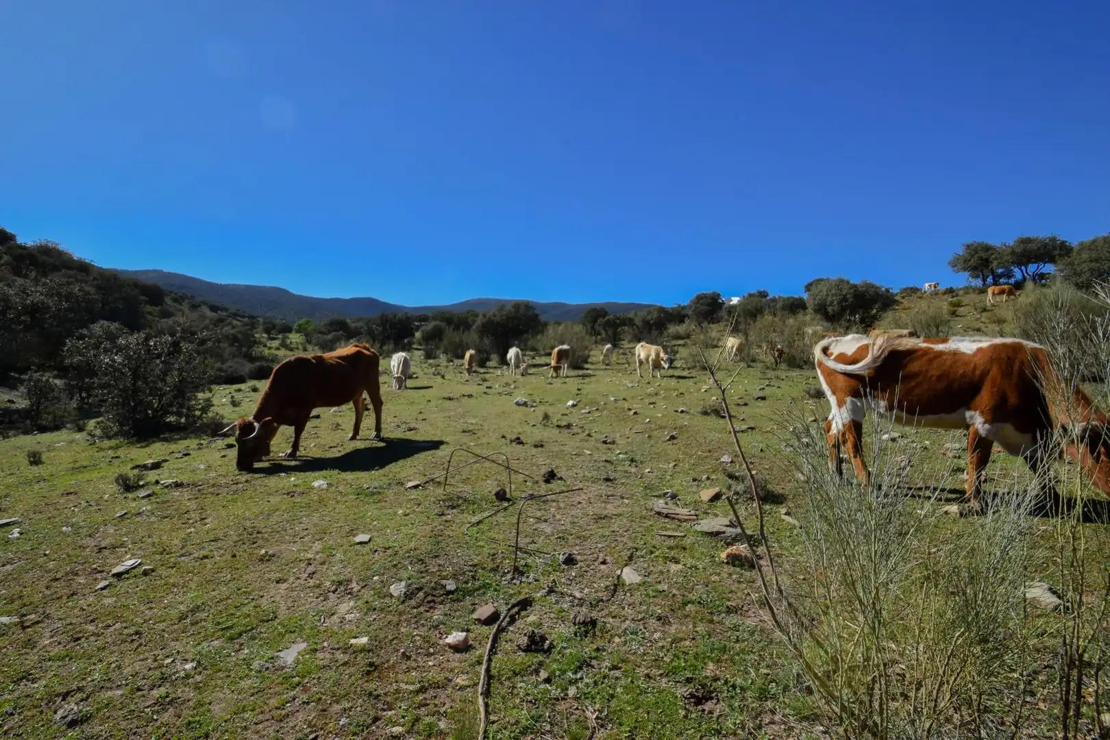 Terreno en venta en Paraje de las Perdices, Lugros
