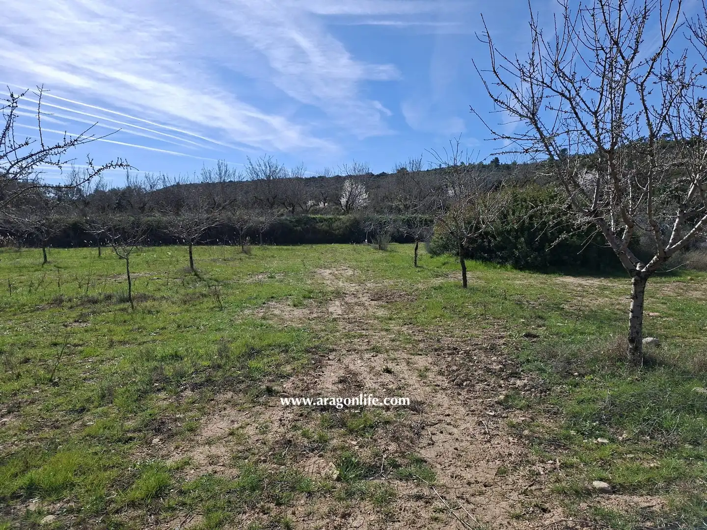 Land for sale in Fabara