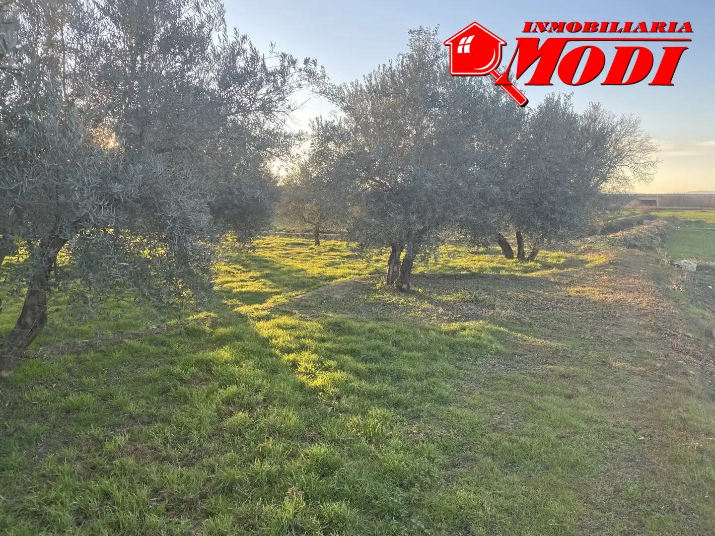 Terrenys i solars en venda a Belicena, imagen 10