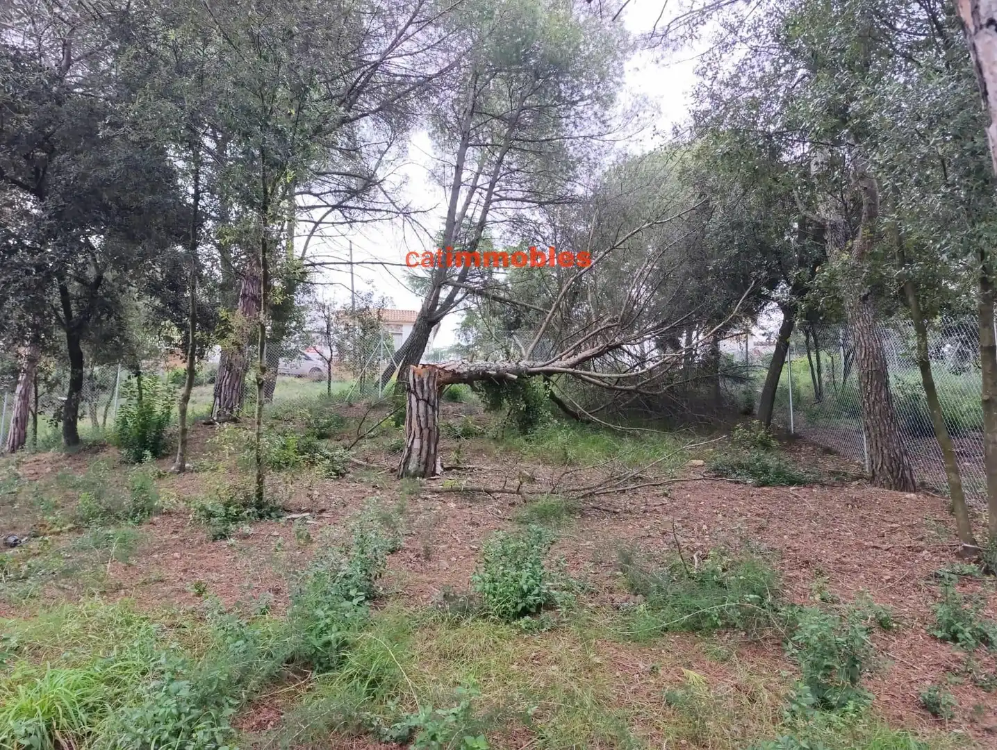 Terreny residencial en venda a Rosa Mariné, imagen 14