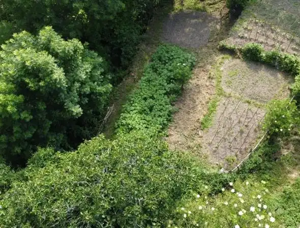 Einfamilien-Reihenhaus zum Verkauf in Ponga mit Klimaanlage, Heizung und Möbliert