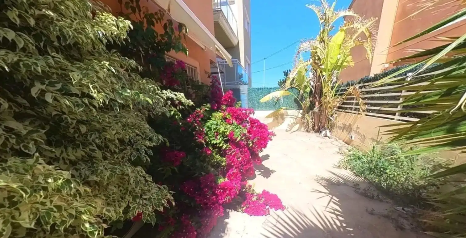 Exterior view of Houses for sale in L'Alfàs del Pi  with Private garden and Terrace