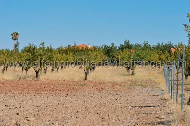 Terreno residencial en Venta en Villafranca de los Barros