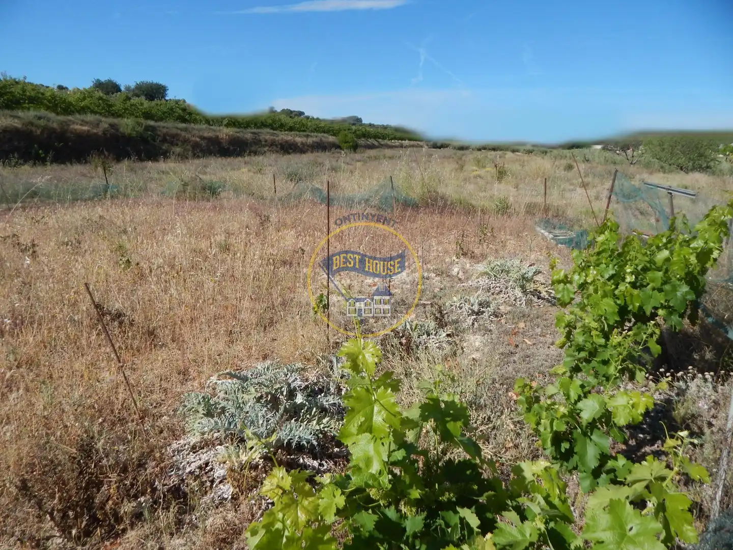 Terreny rústic en venda a Agullent, imagen 4