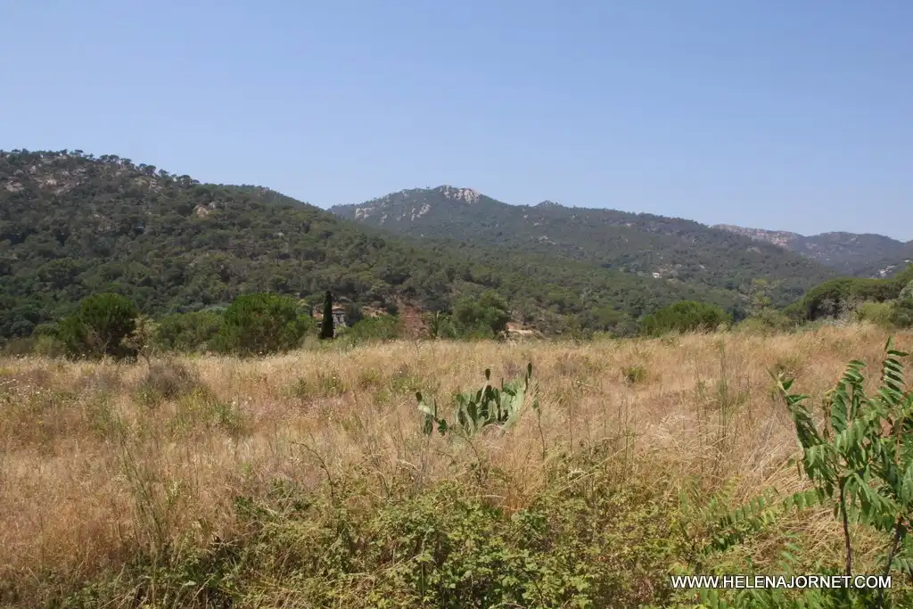 Casa o xalet en venda en Sant Feliu de Guíxols amb Calefacció