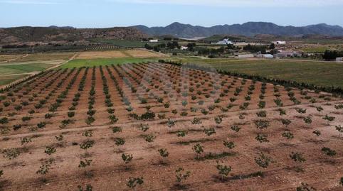 Foto 4 de Terreno en venta en Escucha, Lorca