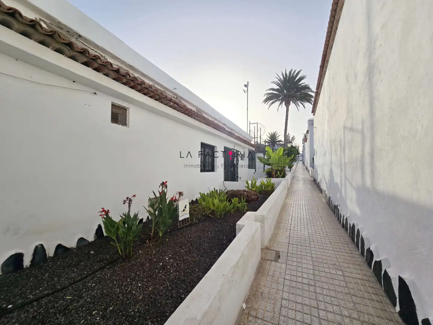 Vista exterior de Estudio en venta en Costa del Silencio