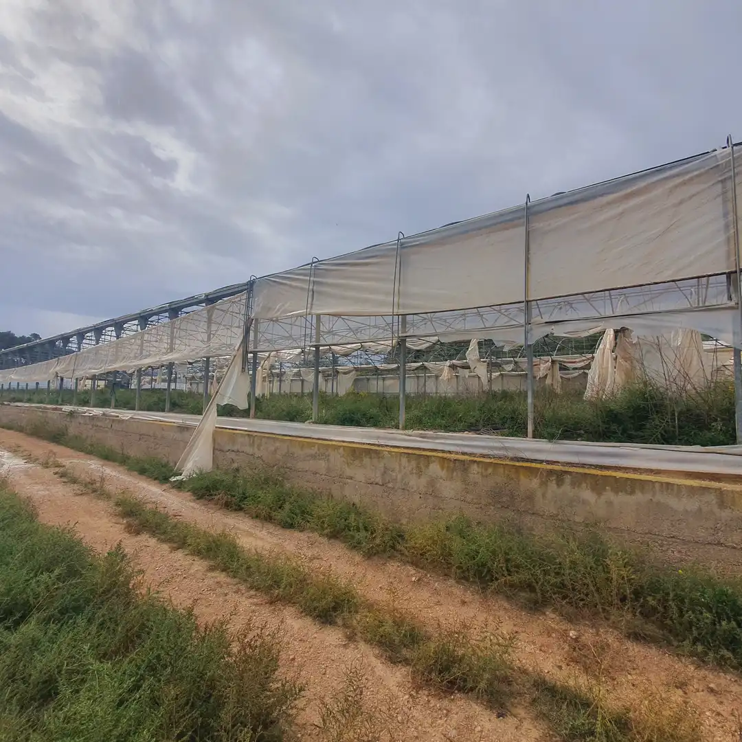 Rustikales Grundstück zum Verkauf in El Pinell de Brai, imagen 29