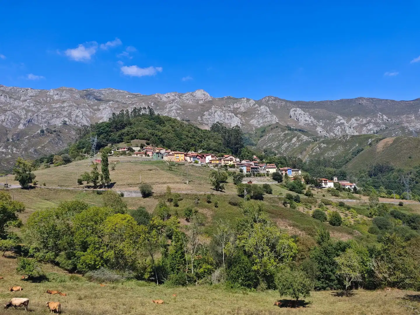 Vista exterior de Casa o chalet en venta en Peñamellera Alta
