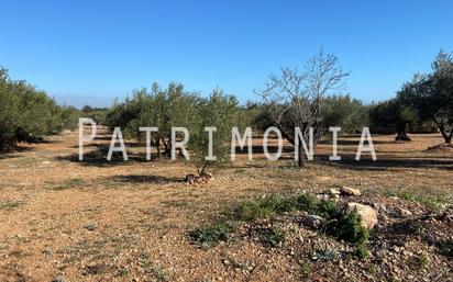 Finca rústica en venda a Ulldellops, 56, L'Ampolla