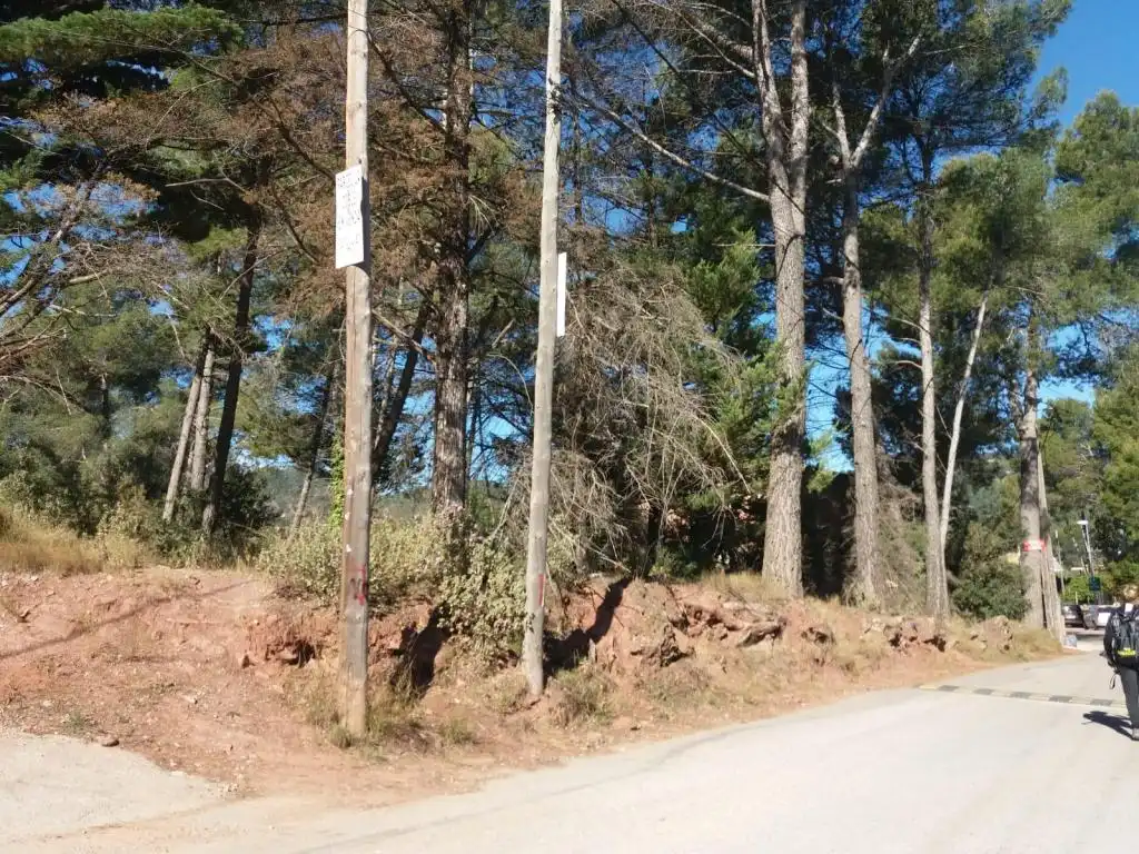 Terreny rústic en venda a RAL, imagen 9