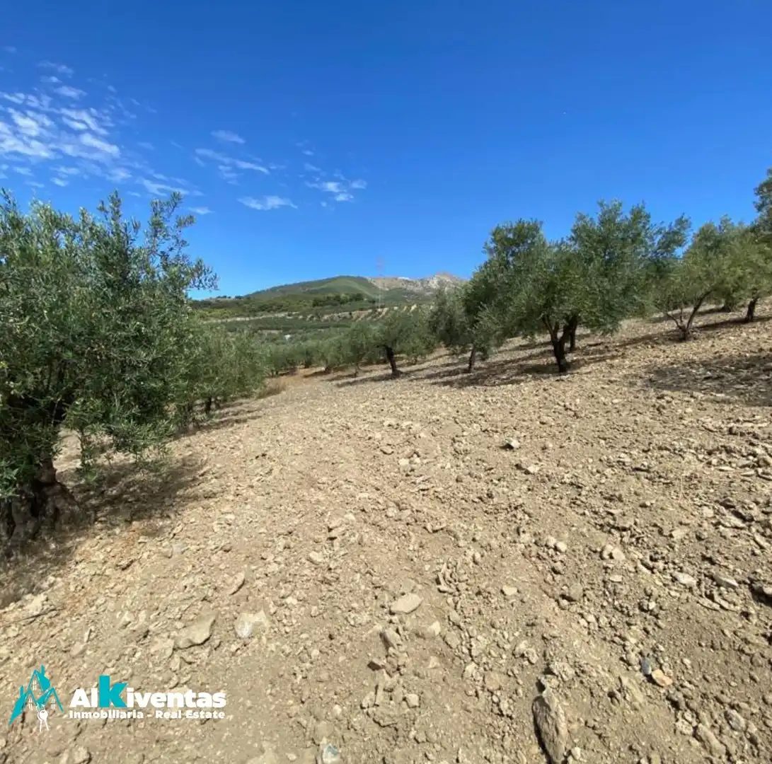 Terreno residencial en venta en Casarabonela, imagen 4