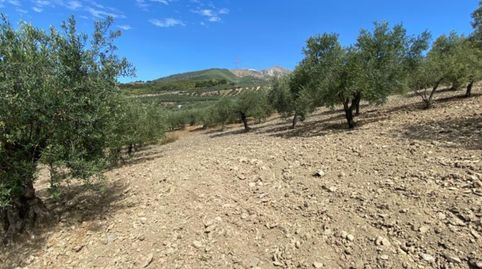 Ref. 29 Terreno en Casarabonela, imatge 4