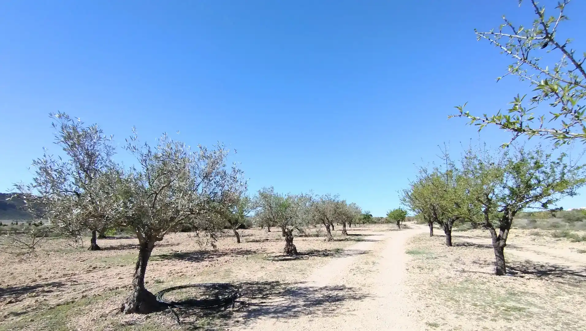 Finca rústica en venta en Caudete con Aire acondicionado y Piscina