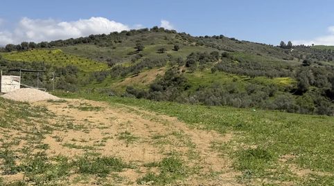 Foto 4 de Finca rústica en venda a Calle Carril de las Casillas, 2, Viñuela, Málaga