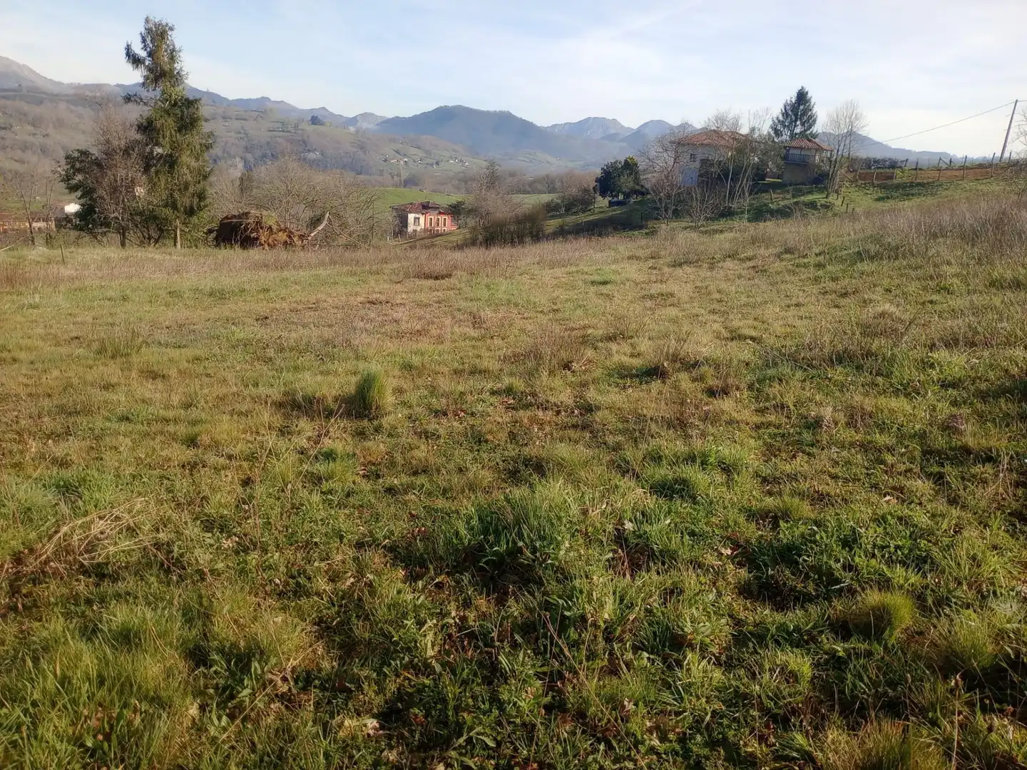 Terrenos y solares en venta en Parres, imagen 6