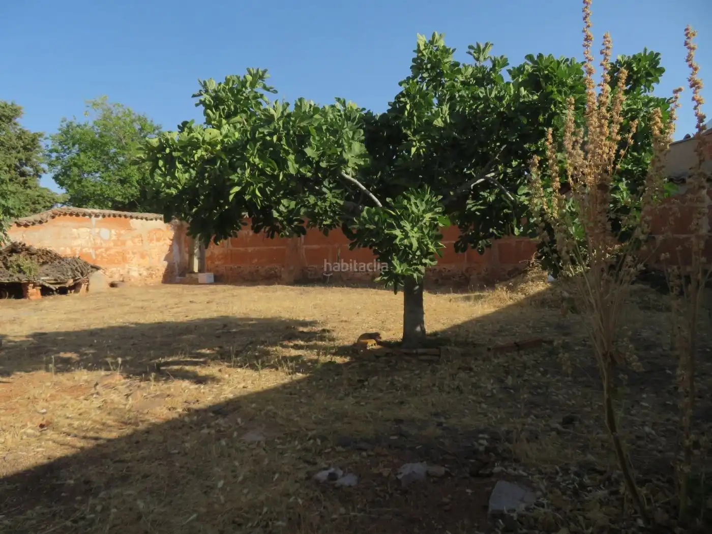 Terreno residencial en venta en Calle Real 47, imagen 4
