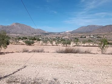Casa rústica en venta en La Murada - Los Vicentes