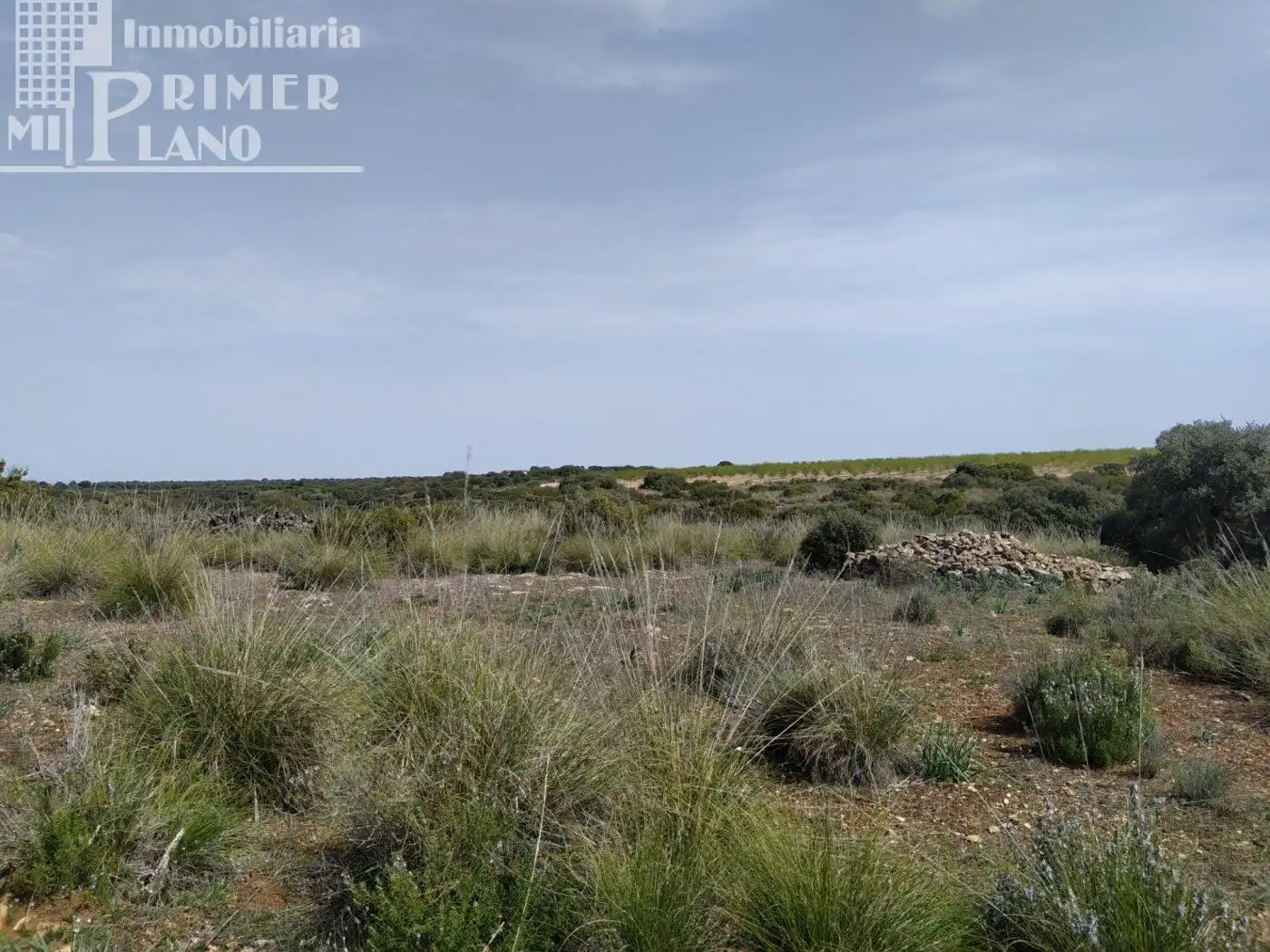 Finca rústica en venta en Socuéllamos