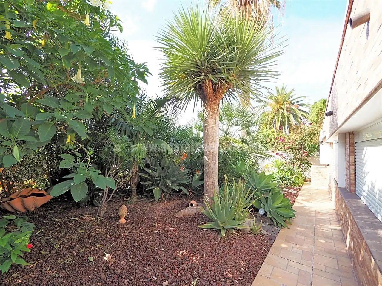 Maison avec jardin à vendre à Longuera - Toscal, imagen 42