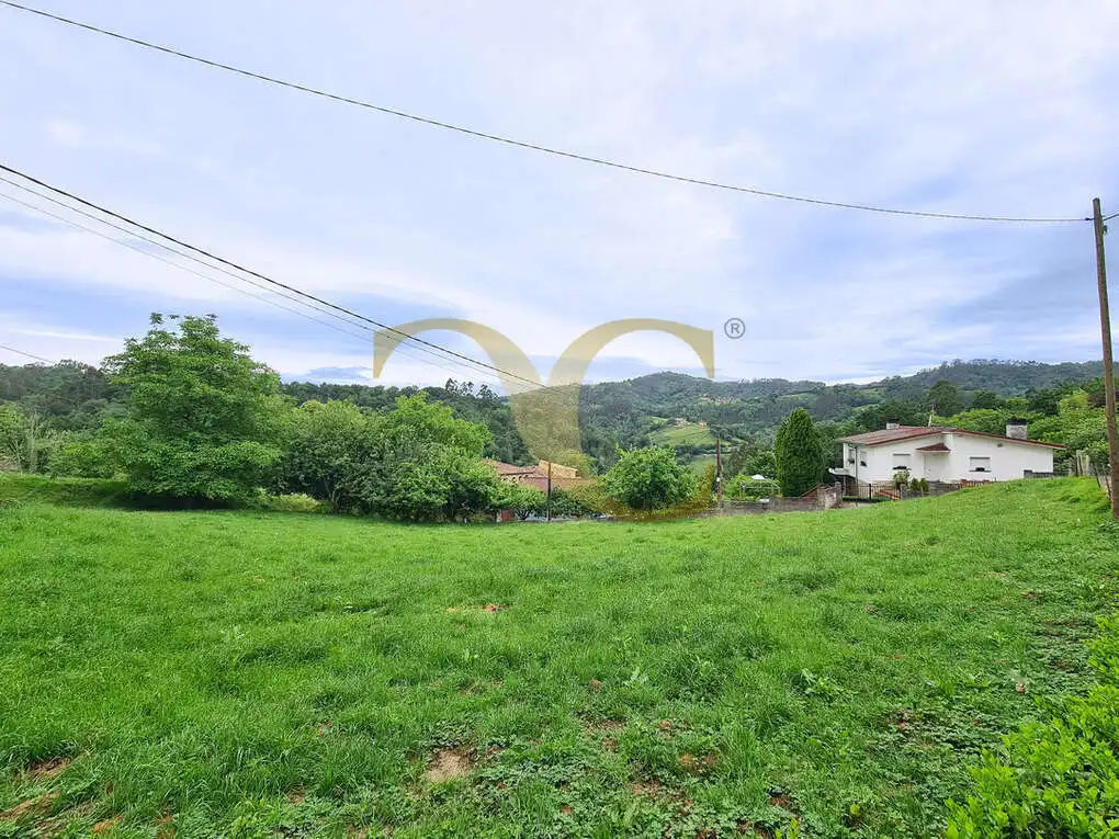 Terreno rustico in vendita a Niao, imagen 12
