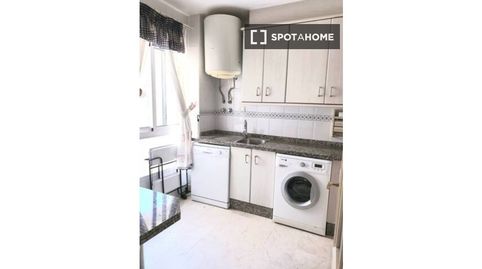 Foto 5 de Habitació a Playa Muchavista, El Campello