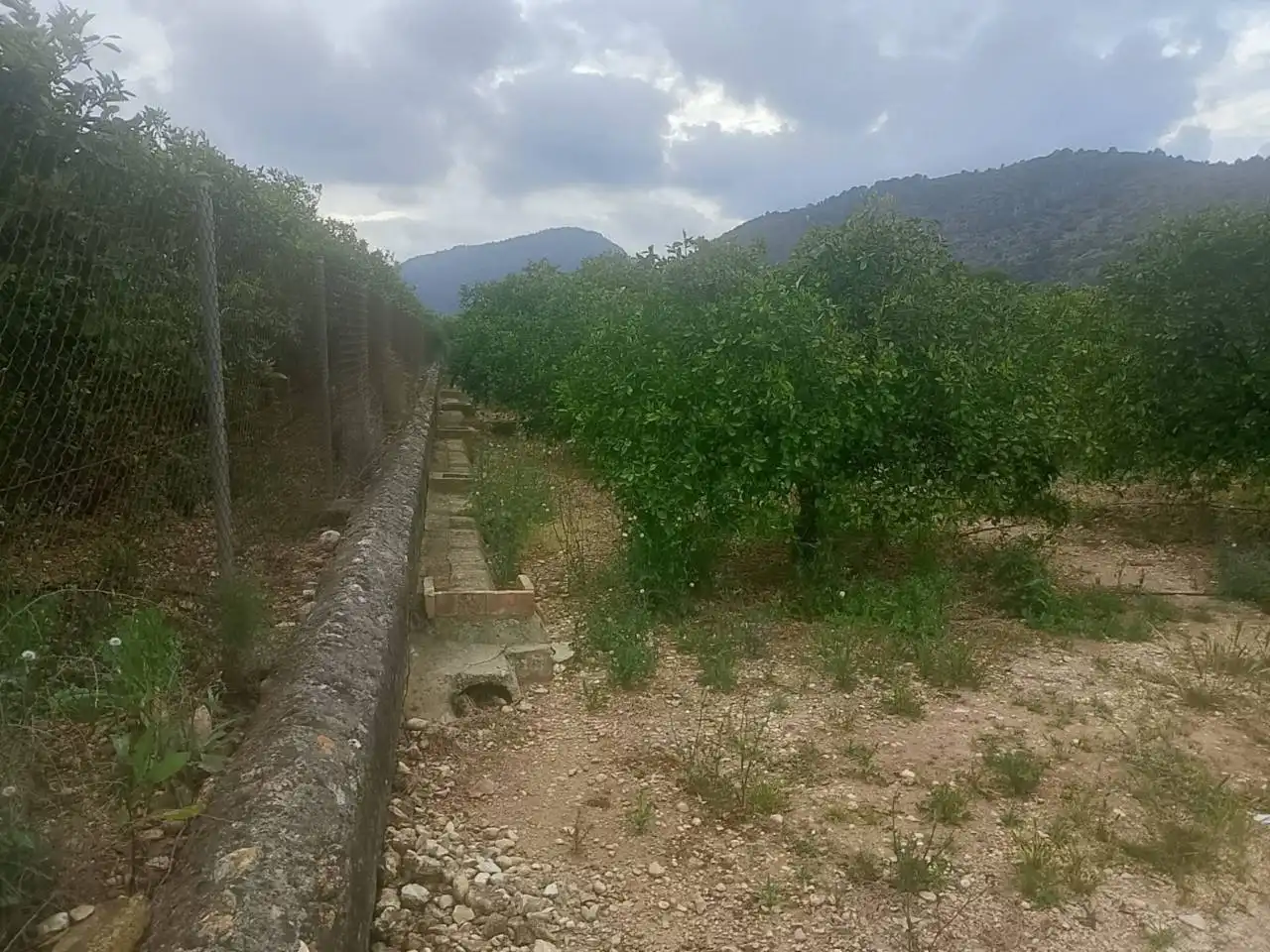 Terreny rústic en venda a Sector Enmig, imagen 6
