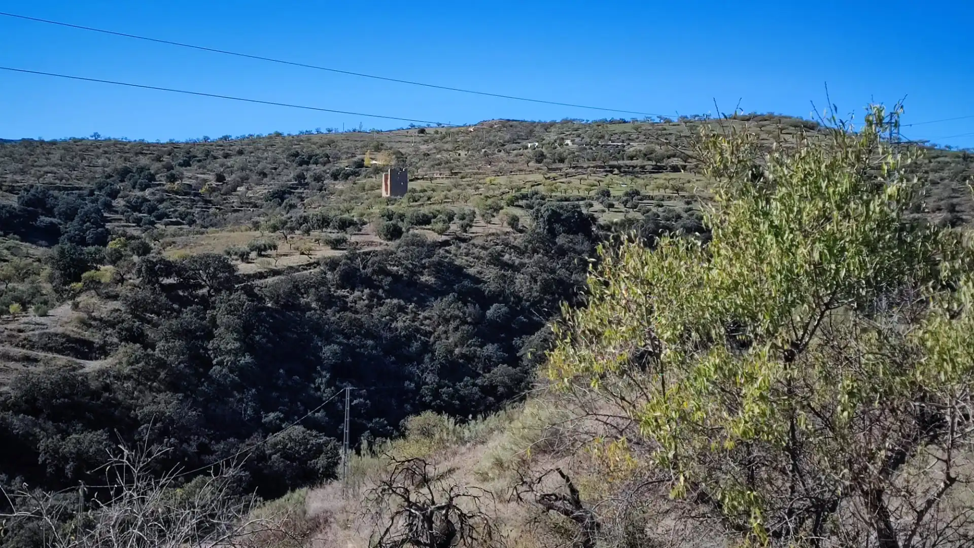 Land for sale in Alcudia de Monteagud