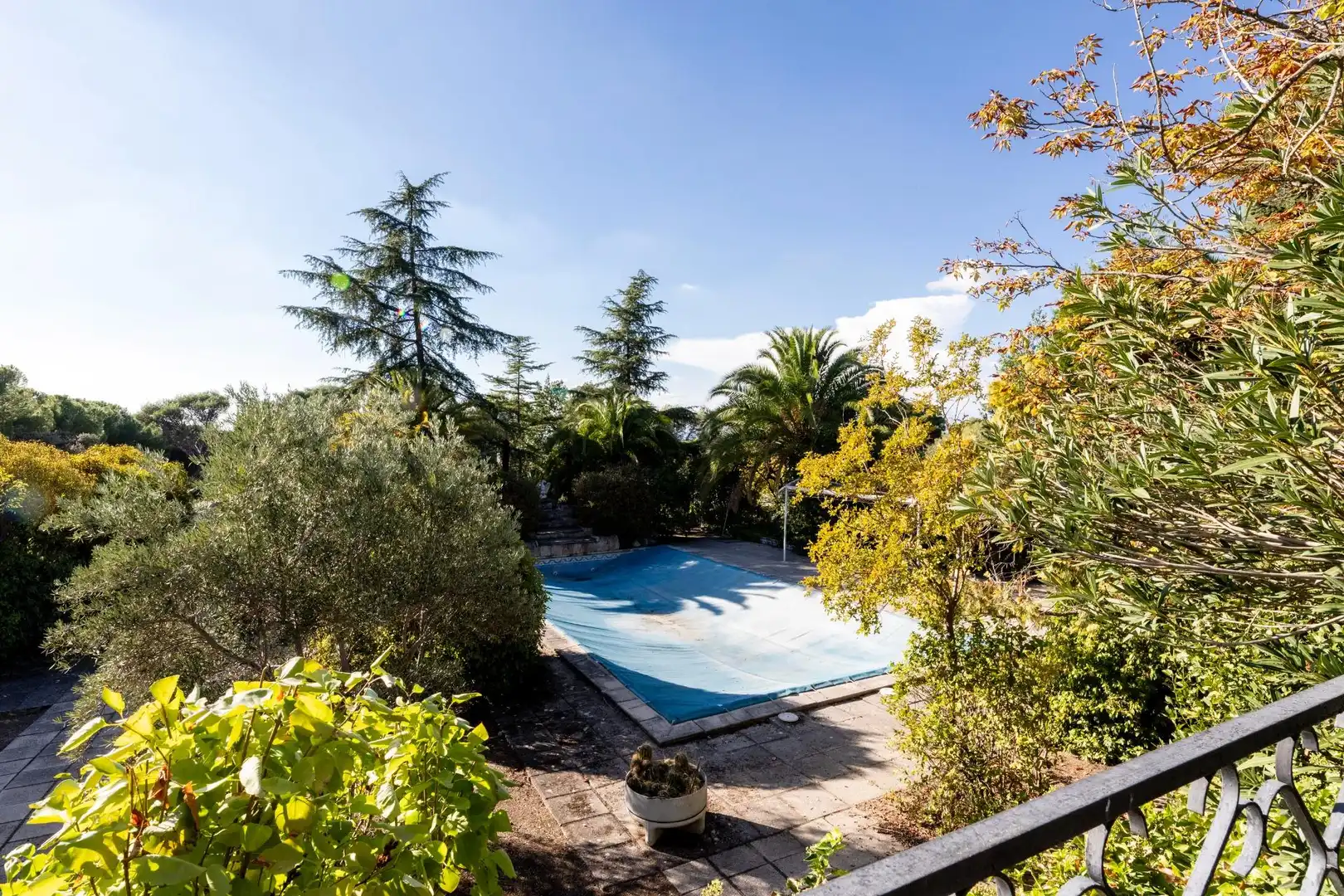 Piscina de Casa o xalet en venda en El Bosque