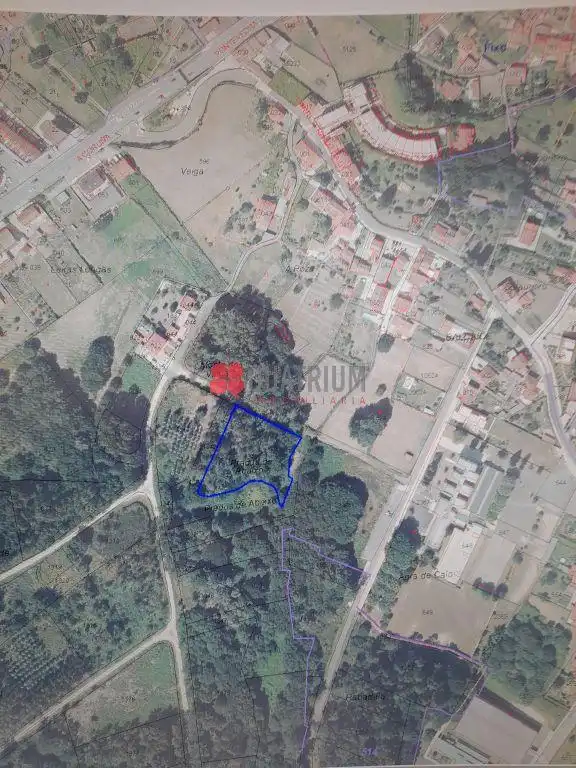 Rural land for sale in Prados de Abaixo, imagen 3