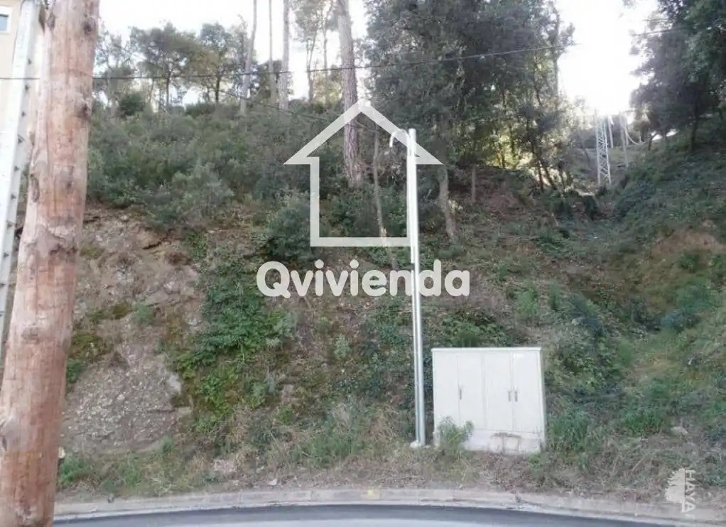 Terreny rústic en venda a COVA DEL DRAC