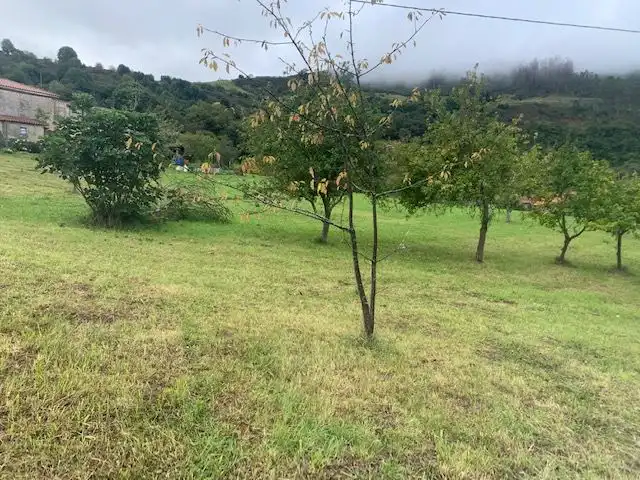 Terrenys i solars en venda a Rural, imagen 6