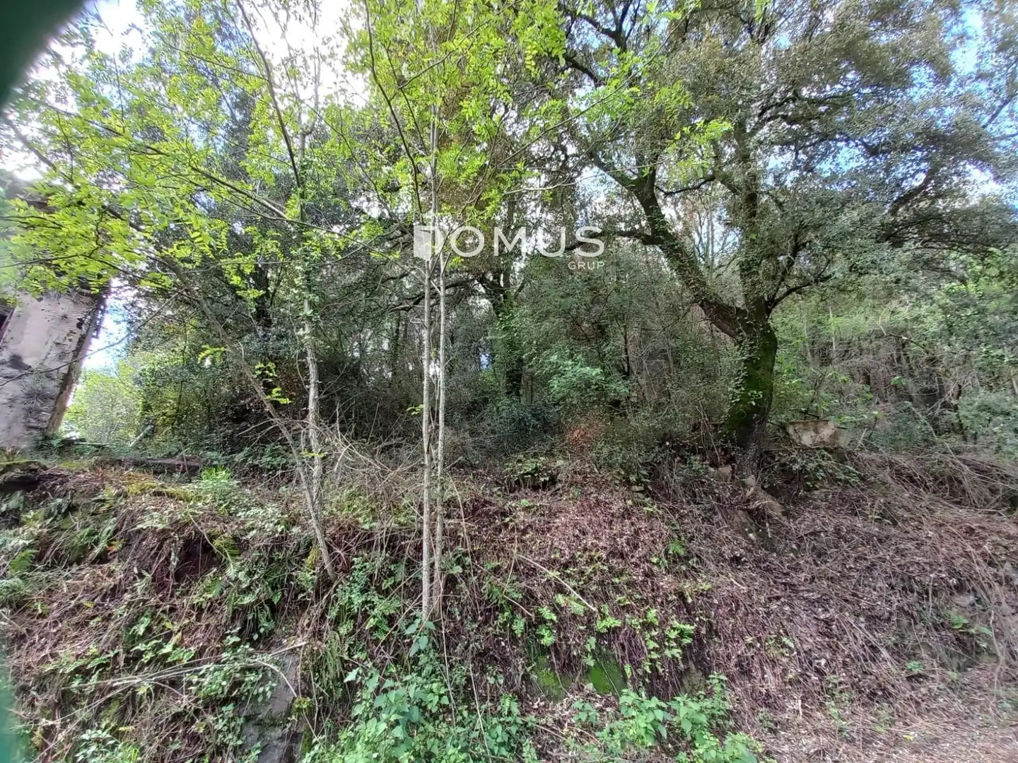Finca rústica en venta en Sant Joan Les Fonts