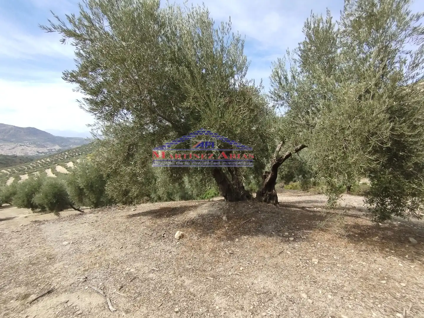 Terreni e lotti in vendita a Quesada, imagen 7