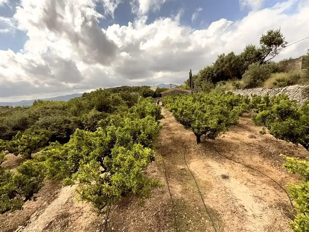 Finca rústica en venda en Sanet y Negrals amb Calefacció i Jardí privat