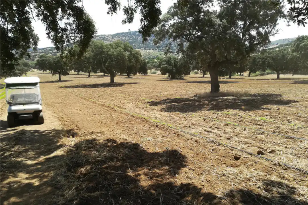 Terreno en venta en Zona Centro