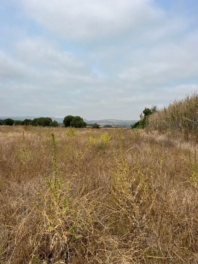 Terreno residencial en venta en Vejer, imagen 2