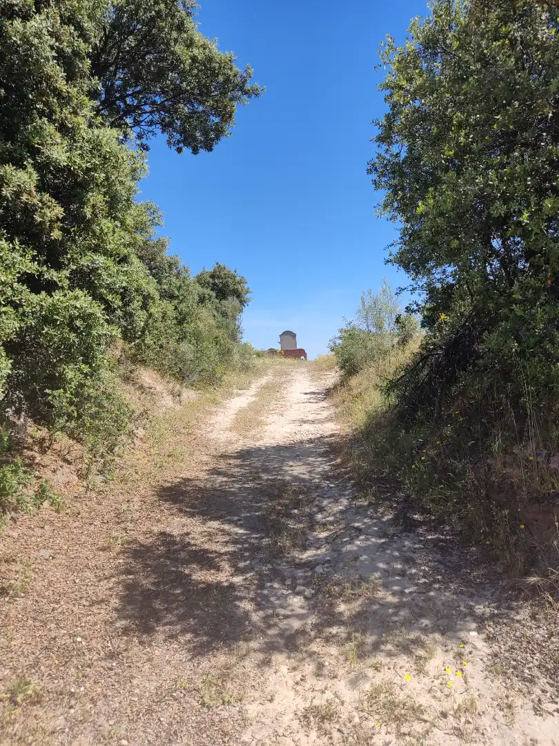 Land for sale in Navalcarnero