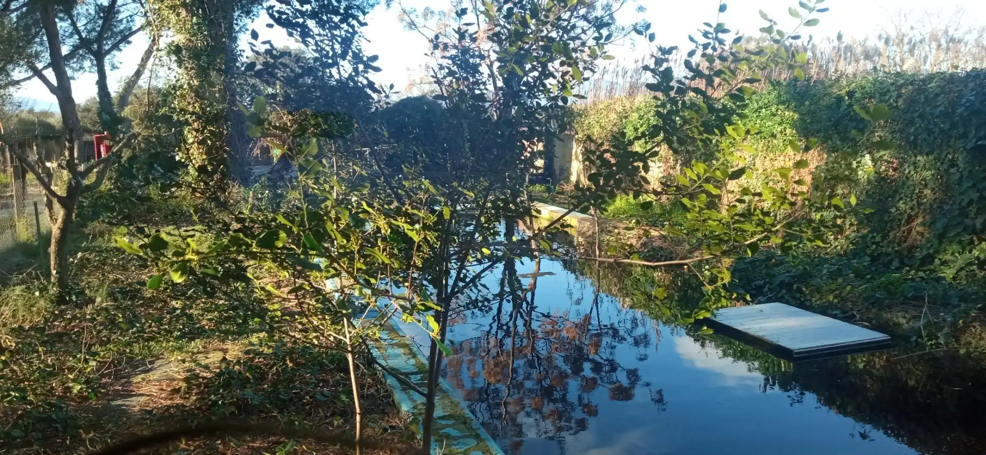 Garden of Commercial properties for sale in Peralada