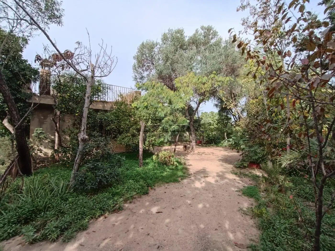 Terreno residenziale in vendita a Campolivar