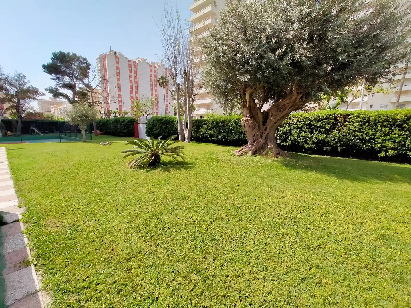 Jardín de Apartamento en venta en Gandia con Aire acondicionado, Terraza y Amueblado