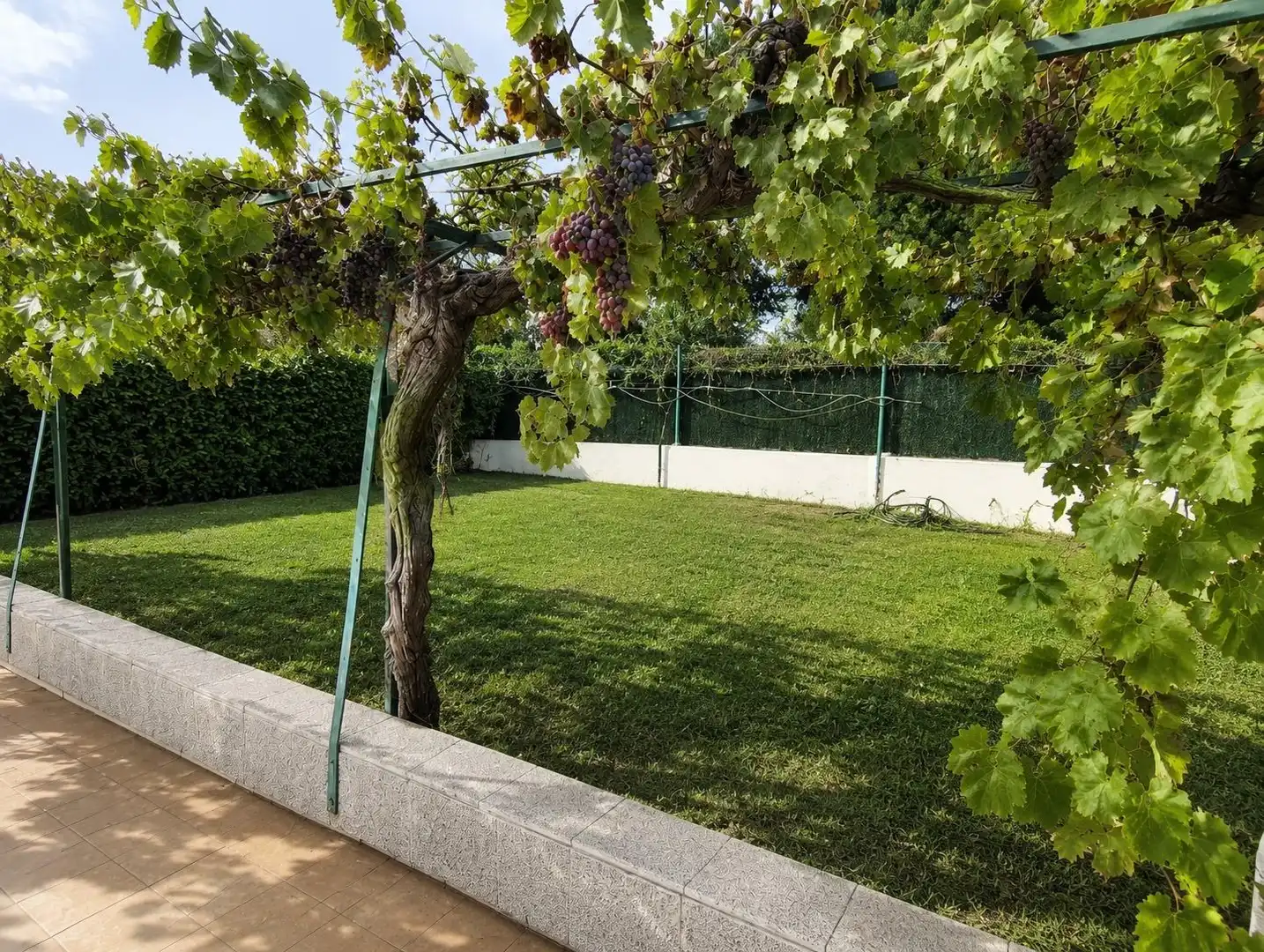 Chalet con piscina en venta en El Molar (Madrid), imagen 4