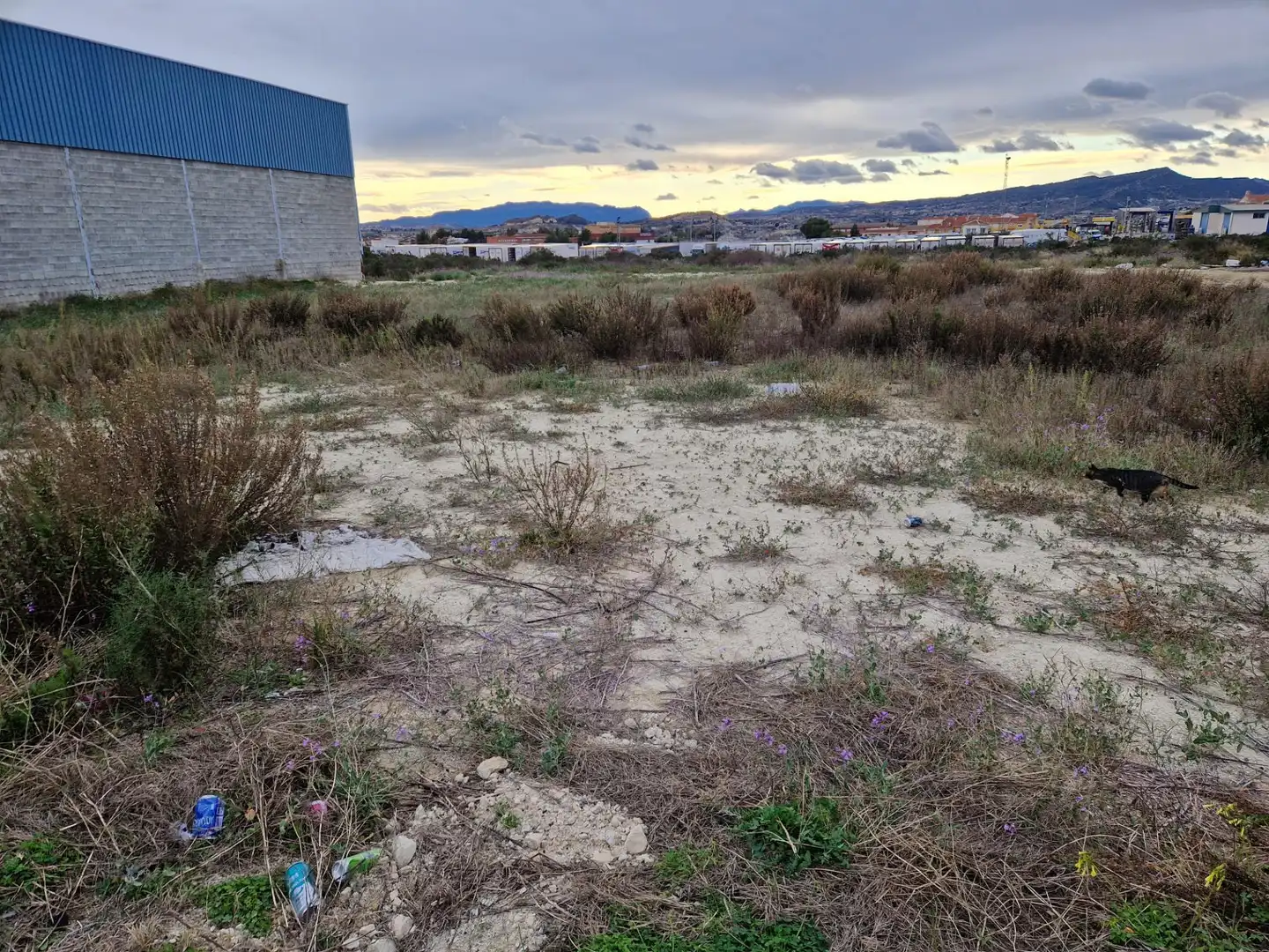 Terreny industrial en venda a Archena, imagen 4