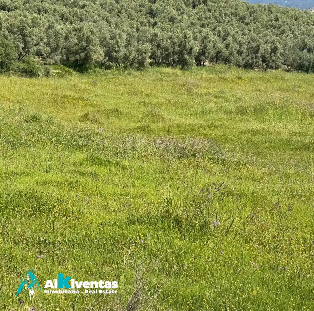Terreni e lotti in vendita a Casarabonela, imagen 4