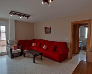 Living room of Flat for sale in Roquetas de Mar  with Terrace