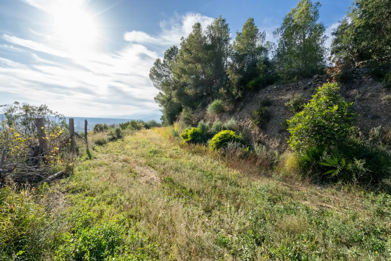 Terrain rustique à vendre à T-301 57, imagen 6